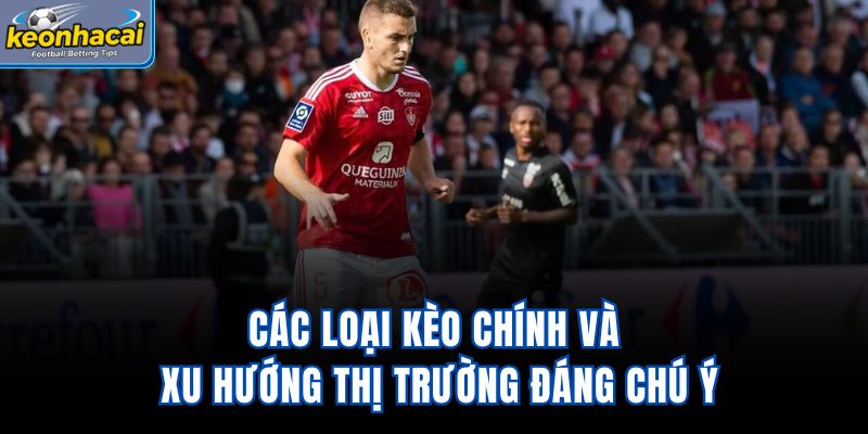 Các loại kèo chính và xu hướng thị trường đáng chú ý