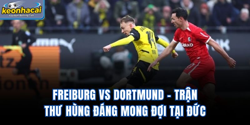 Freiburg vs Dortmund - Trận Thư Hùng Đáng Mong Đợi Tại Đức