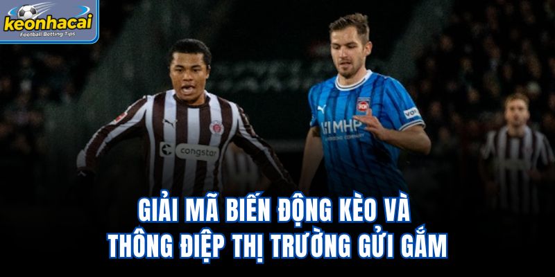 Giải mã biến động kèo và thông điệp thị trường gửi gắm