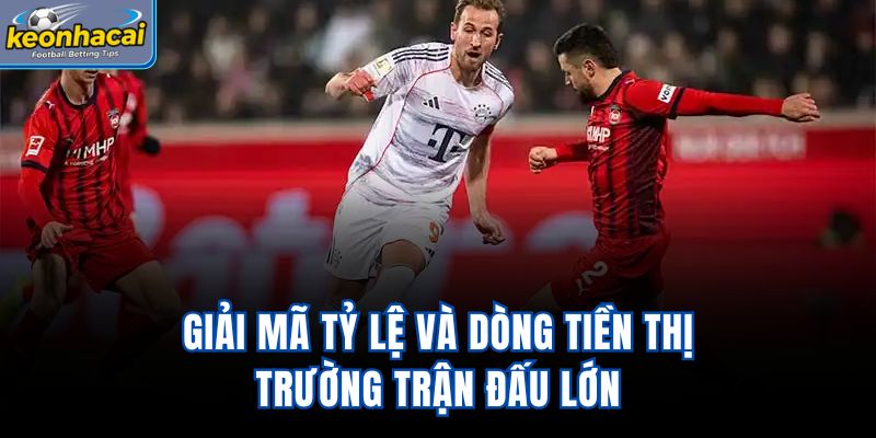 Giải mã tỷ lệ và dòng tiền thị trường trận đấu lớn