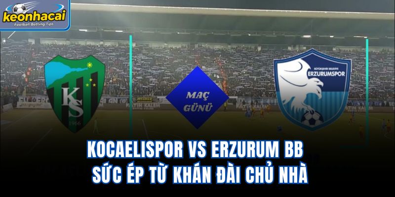 Kocaelispor Vs Erzurum BB - Sức Ép Từ Khán Đài Chủ Nhà