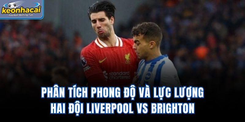 Phân tích phong độ và lực lượng hai đội Liverpool vs Brighton